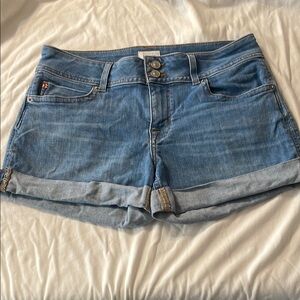 Hudson Ruby shorts size 29